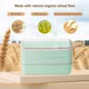 Bento Box, 3-In-1 Meal Prep Container, 900ML Janpanese Lunch Box with Compartment, Wheat Straw, Leak-proof, with Spoon & Fork, BPA-free, Green