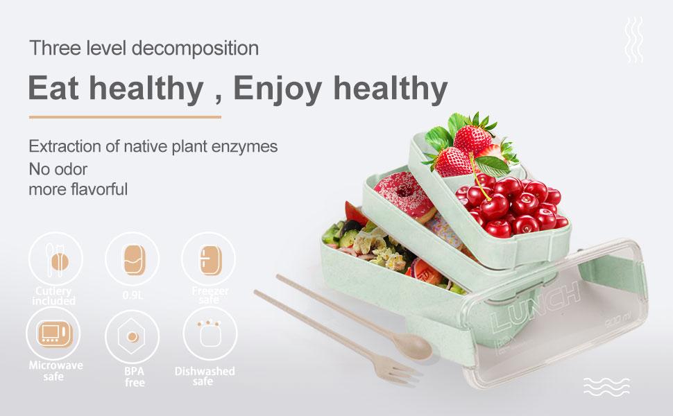 Portable Bento Box - Microwavable Lunch Box – Life Guidance